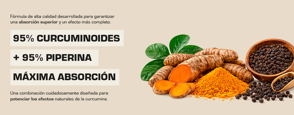 Curcumin (RHIZOmin 95®) 04