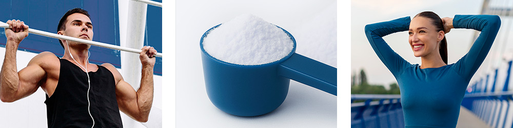 Creatine Premium Cr-ystalPure® 04