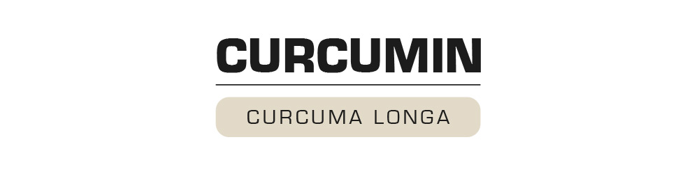 Curcumin (RHIZOmin 95®) 01