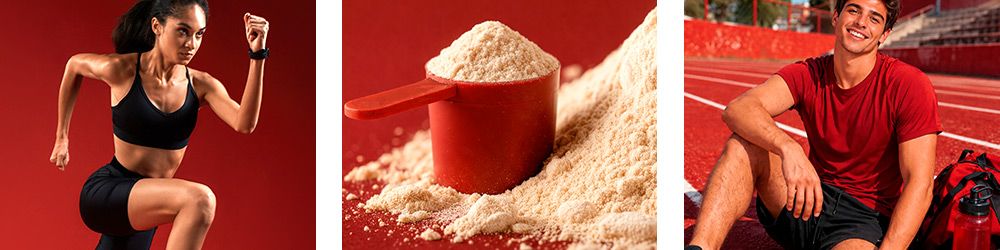 Milk Protein Isolate 90 04