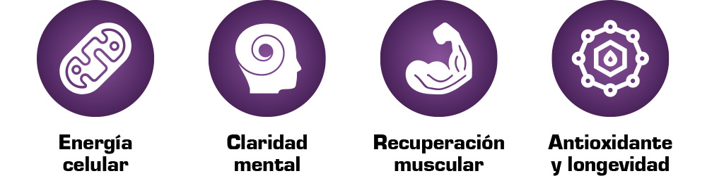 NAD+ & Pterostilbene 02