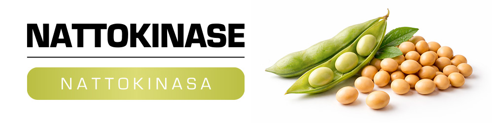 Nattokinase 01