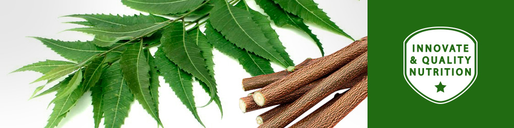 Pasta dental con neem 02